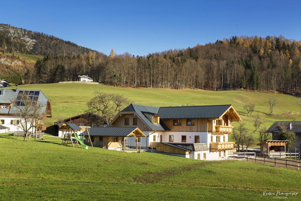 Villa Reiterhof Suassbauer à Saint Wolfgang Extérieur photo