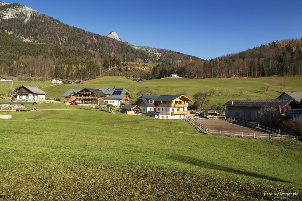 Villa Reiterhof Suassbauer à Saint Wolfgang Extérieur photo